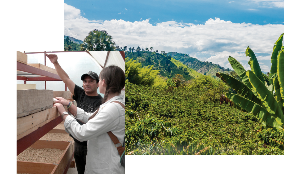 Selected coffees with guaranteed origin
